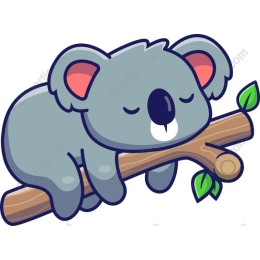 Koala Bear