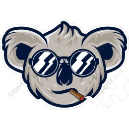Chill Koala
