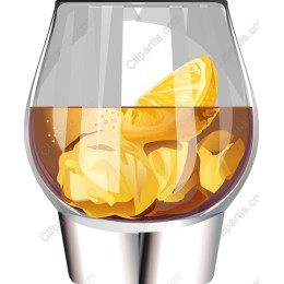Elegant Whiskey Glass