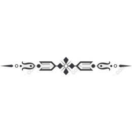 Elegant Black and White Border Divider