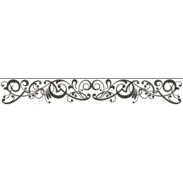 Elegant Ornamental Border