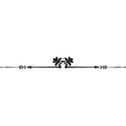 Elegant Floral Border