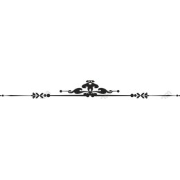 Elegant Ornamental Border