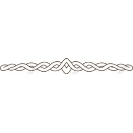 Elegant Decorative Border