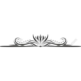 Elegant Black Ornament