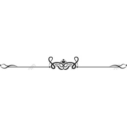 Elegant Ornamental Divider