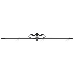 Elegant Ornamental Border