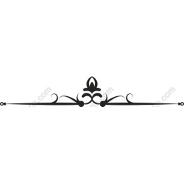 Elegant Decorative Ornament