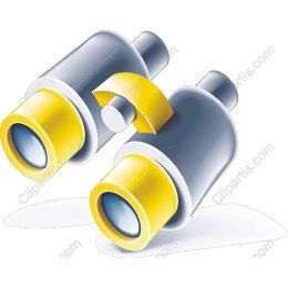 Visual Insight Binoculars