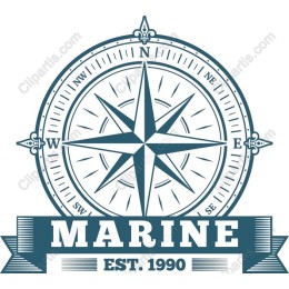 Marine Compass