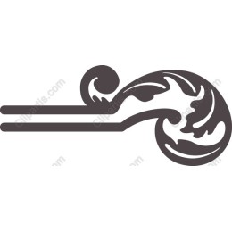Elegant Swirl