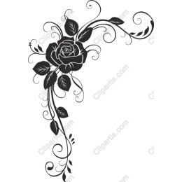 Elegant Black Rose