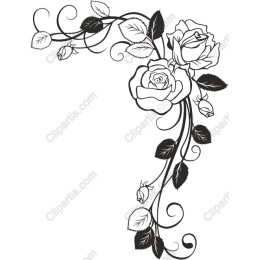 Elegant Rose Vine