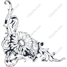 Elegant Daisy Floral