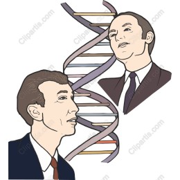 DNA Helix for Scientific Projects