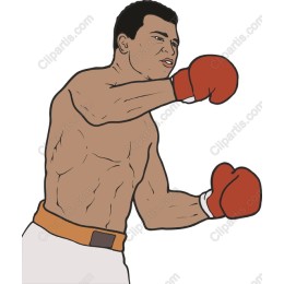 Boxing Champion