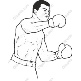 Dynamic Boxer