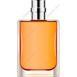 Elegant Perfume Bottle
