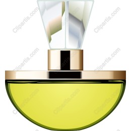 Elegant Perfume Bottle