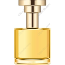 Luxurious Perfume Bottle