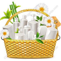 Charming Cosmetic Basket
