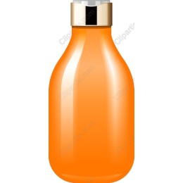 Premium Orange Bottle