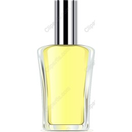 Elegant Perfume Bottle