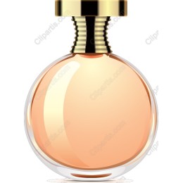 Elegant Perfume Bottle