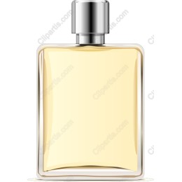 Elegant Perfume Bottle