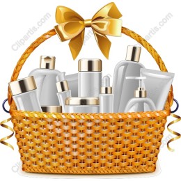 Elegant Cosmetic Basket