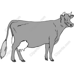 Charming Cow