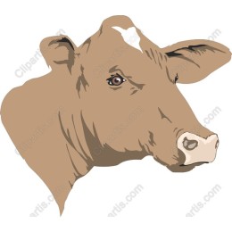 Charming Brown Dairy Cow