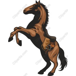Dynamic Rearing Horse