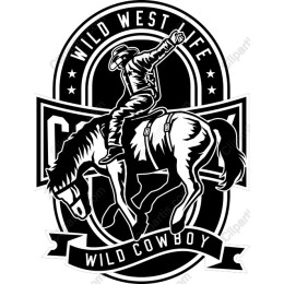 Wild West Cowboy