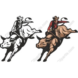 Cowboy Riding Bull