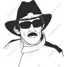 Stylish Cowboy Hat