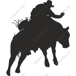 Cowboy Riding Bull