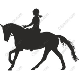 Elegant Horse and Rider