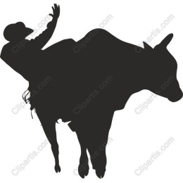 Cowboy Riding Bull