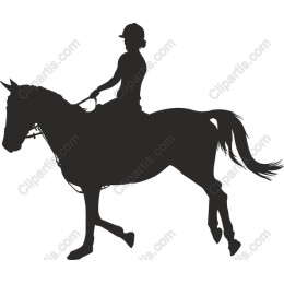 Elegant Horse and Rider