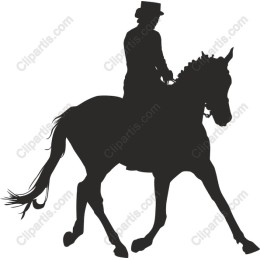 Elegant Horse and Rider