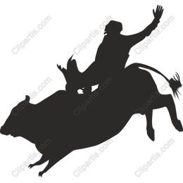 Rodeo Cowboy