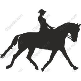 Equestrian Rider