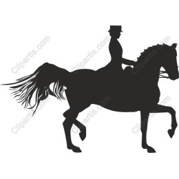 Elegance in Motion: Horse and Rider