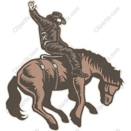Cowboy Riding Horse