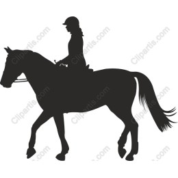 Elegant Horse and Rider