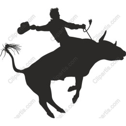 Cowboy Riding Bull