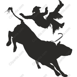 Cowboy Bull Riding