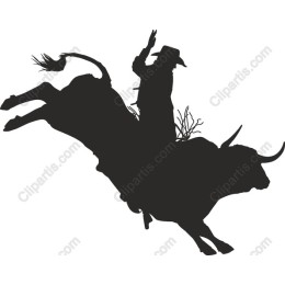 Cowboy on Bucking Bull