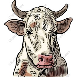 Charming Cow